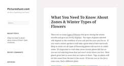 Desktop Screenshot of images.pictureshunt.com